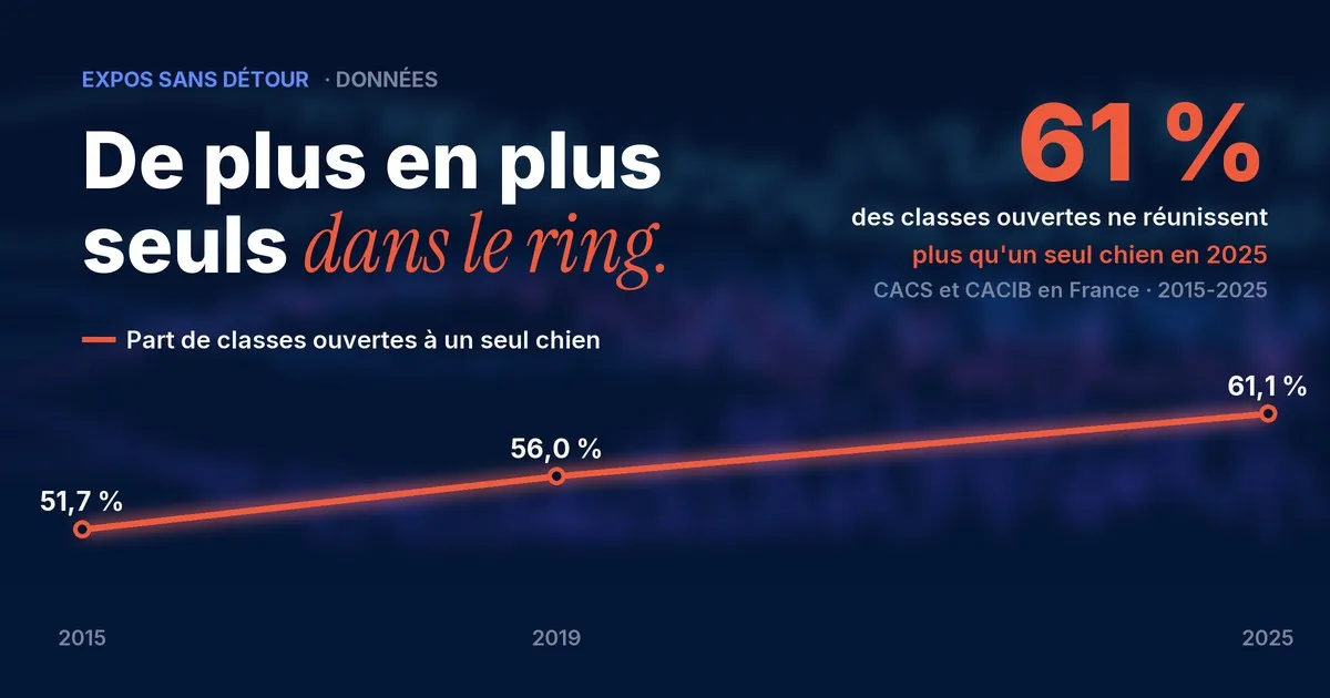 Courbe : la part de classes ouvertes ne réunissant qu'un seul chien passe de 51,7 % en 2015 à 61,1 % en 2025, dans les expositions à championnat françaises.